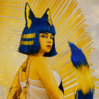 Вызовы и триумфы Ankha cosplay