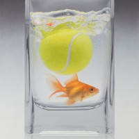 Золотая рыбка и теннисный мячик в стакане с водой.