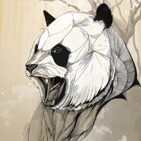 Аватарка панды