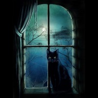 Чёрная кошка сидит на подоконнике на фоне полной луны.