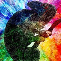 Аватар для ВК с хамелеонами