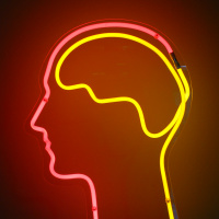 Контур головы человека с мозгом из неоновых лампочек