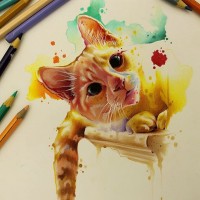 Картинки с котами