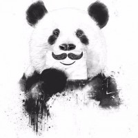 Аватар панды