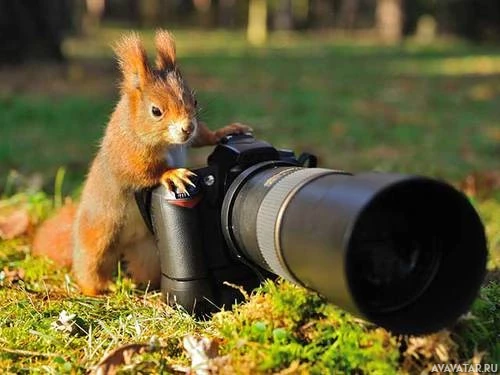 Маленький исследователь природы изучает мир фотоаппаратов