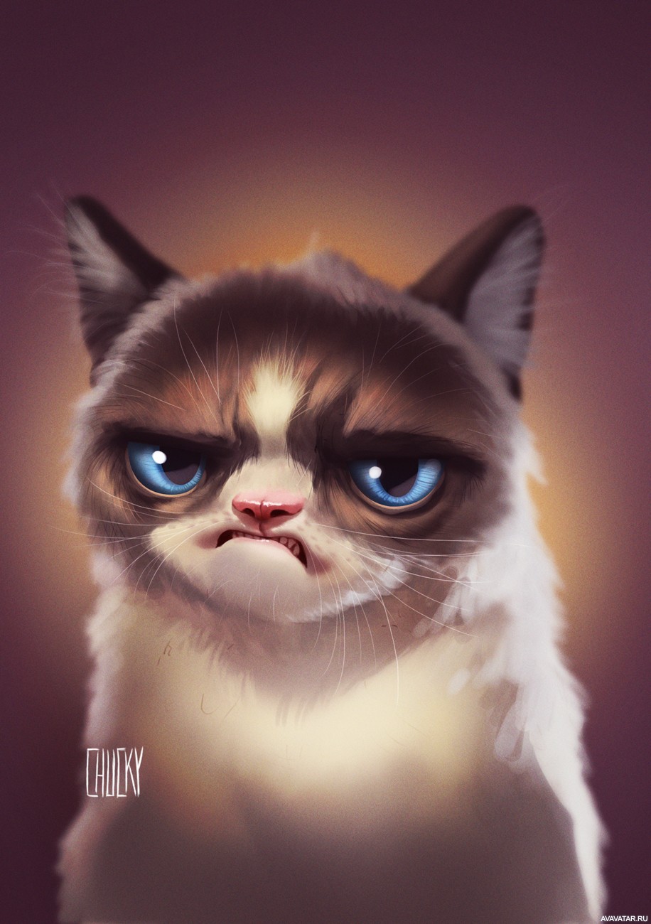 Сердитый кот Grumpy Cat