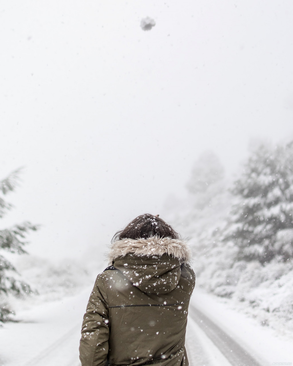 Девушка в зимнем лесу со спины (52 фото)