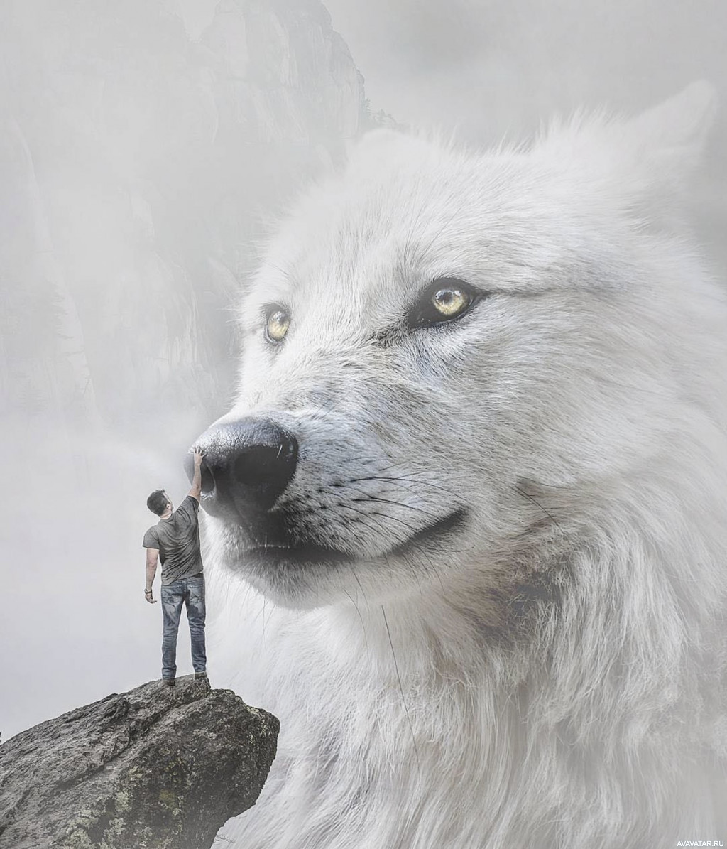 Огромный белый волк