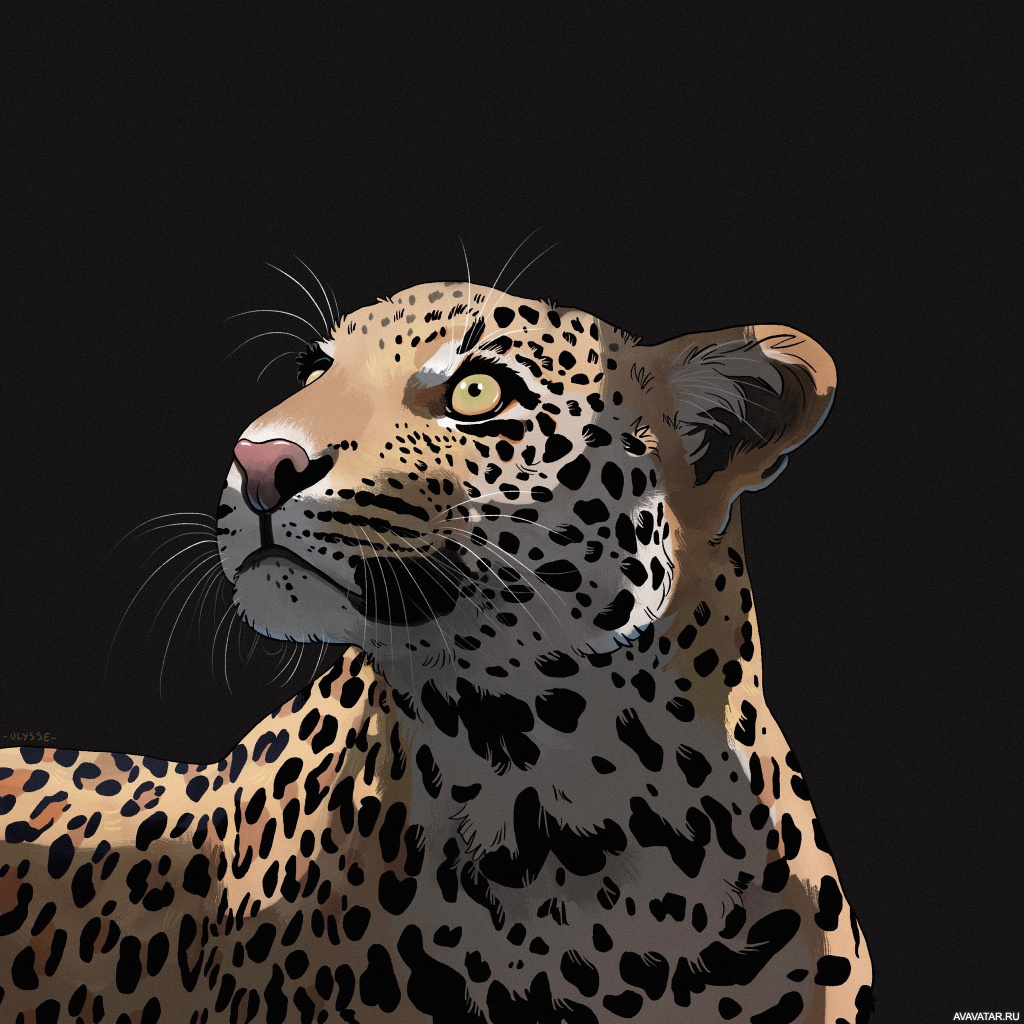 Леопард аватарка
