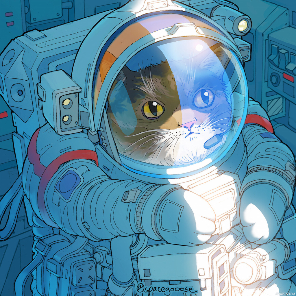 Space Cats Enjoykin