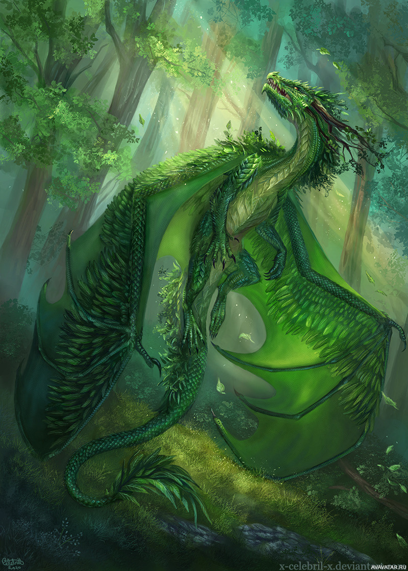 Красивый зеленый дракон