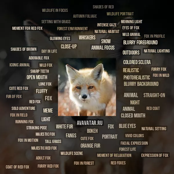 Tag Cloud