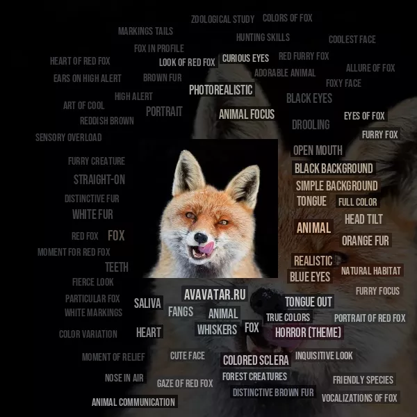 Tag Cloud