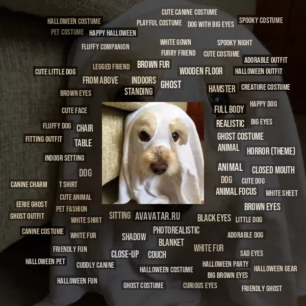 Tag Cloud