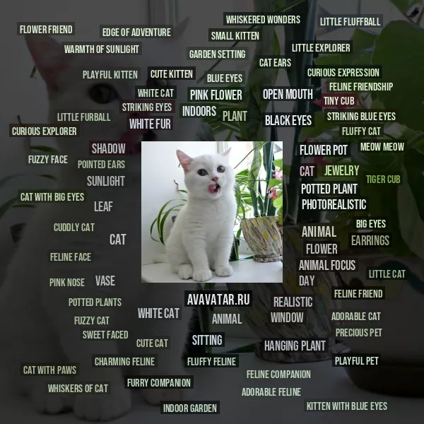 Tag Cloud