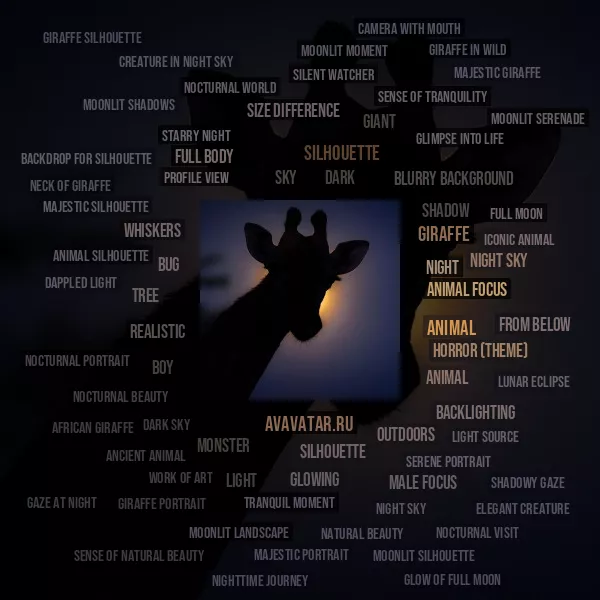 Tag Cloud