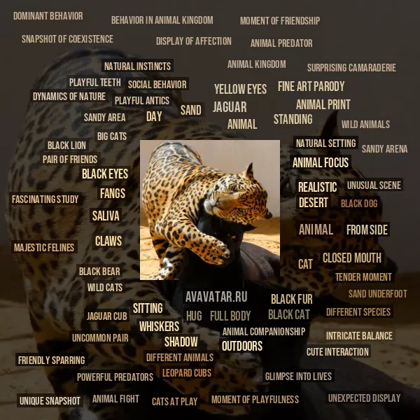 Tag Cloud