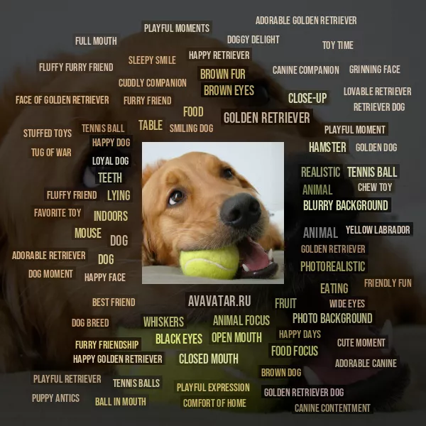 Tag Cloud