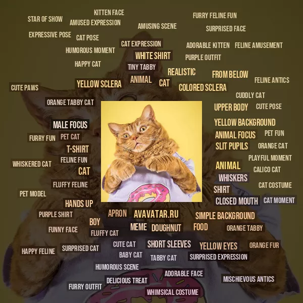 Tag Cloud