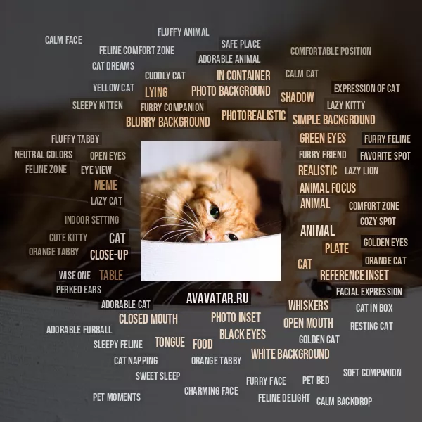Tag Cloud