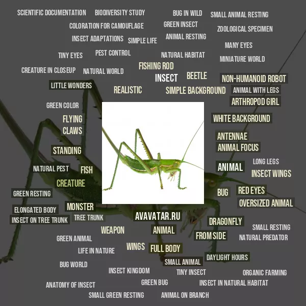Tag Cloud