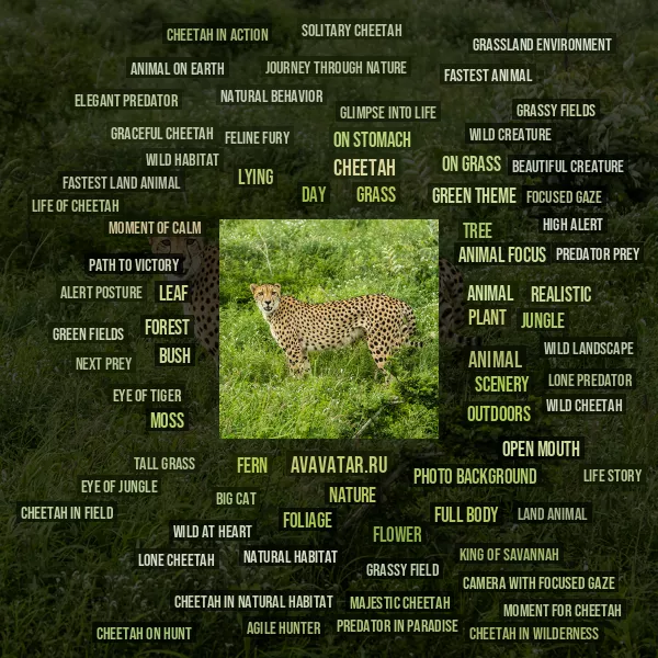 Tag Cloud