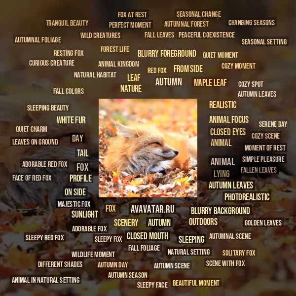 Tag Cloud