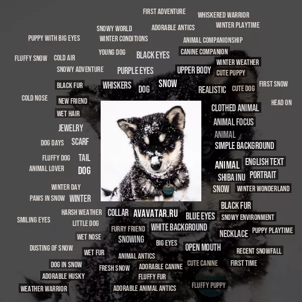 Tag Cloud