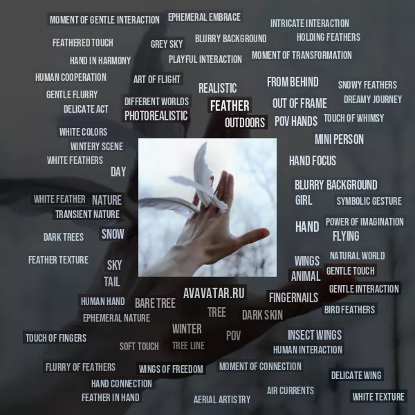 Tag Cloud