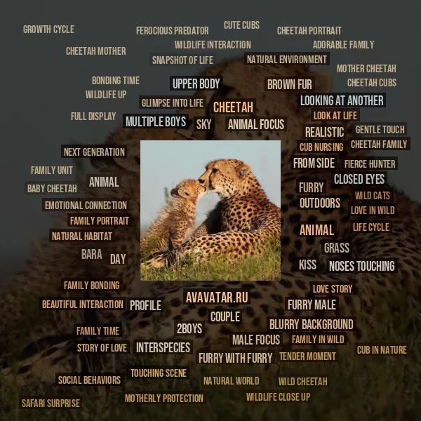 Tag Cloud