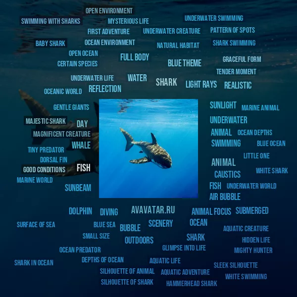 Tag Cloud