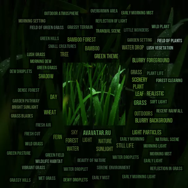 Tag Cloud