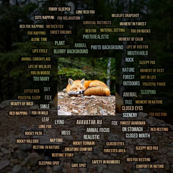 Tag Cloud
