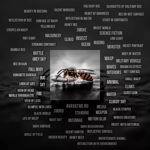 Tag Cloud