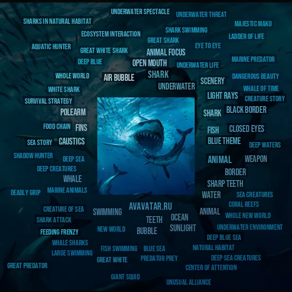 Tag Cloud