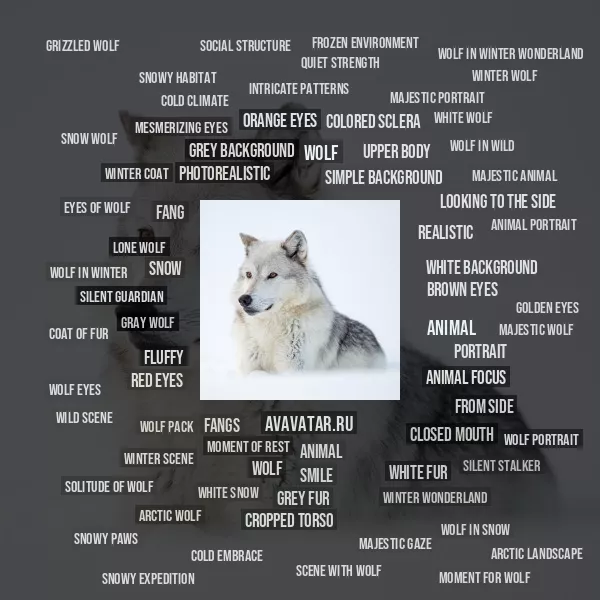 Tag Cloud