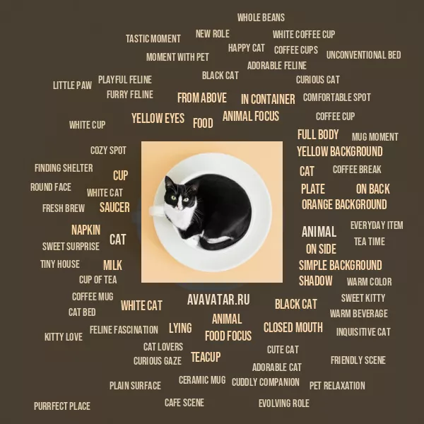 Tag Cloud