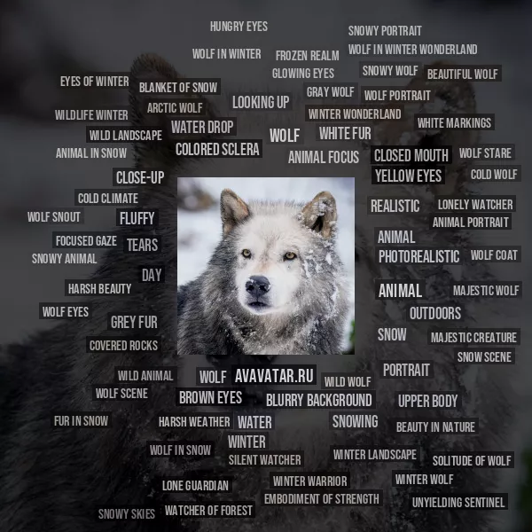 Tag Cloud