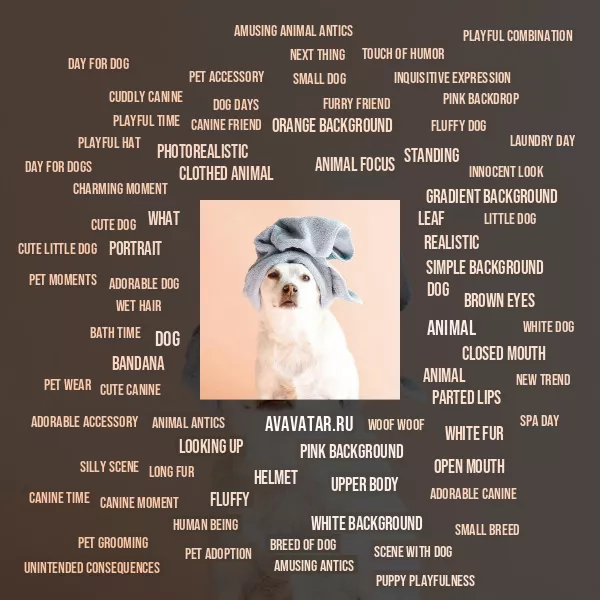 Tag Cloud