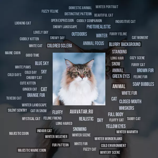 Tag Cloud