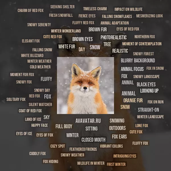 Tag Cloud