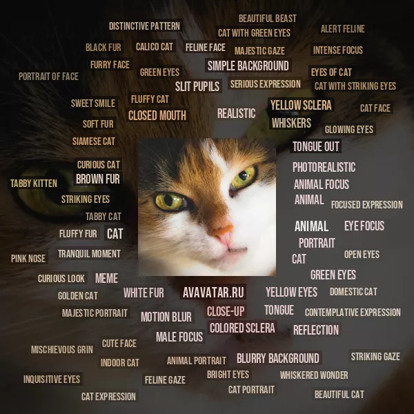 Tag Cloud