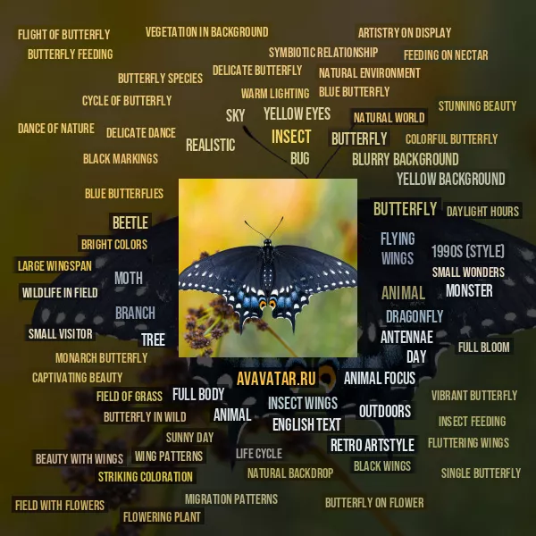 Tag Cloud
