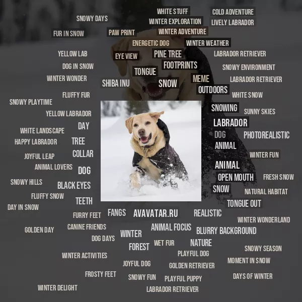 Tag Cloud