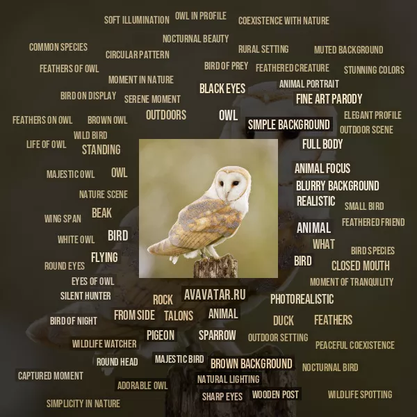Tag Cloud
