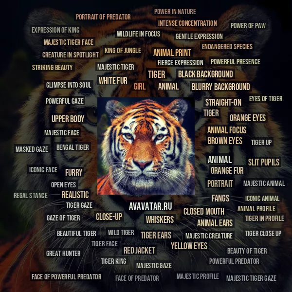 Tag Cloud