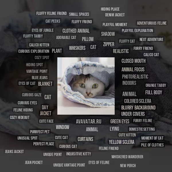 Tag Cloud