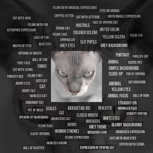Tag Cloud