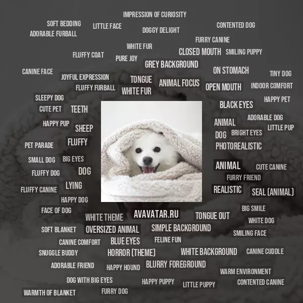 Tag Cloud