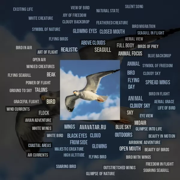 Tag Cloud